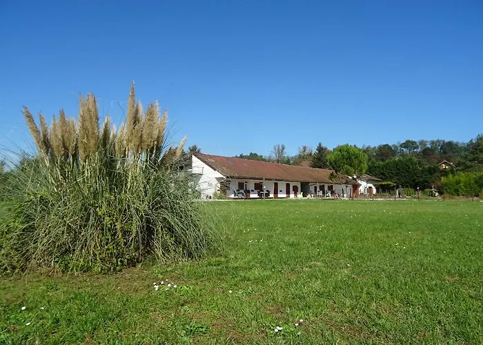 Domaine Les Hirondelles Lucky